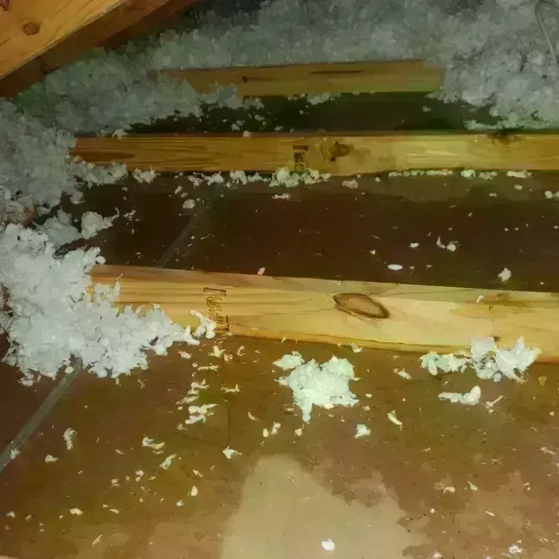 Attic Water Damage in Blackwater, AZ